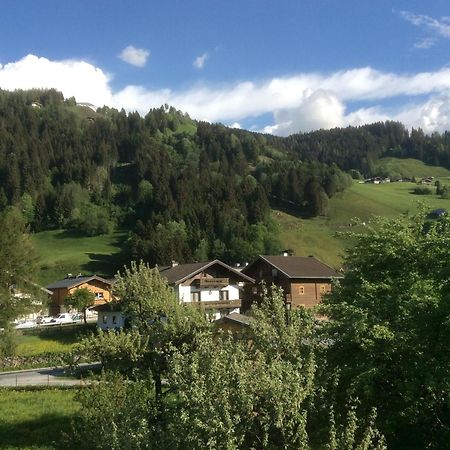 Kitzbuheler Alpen Penthouse Hollersbach Διαμέρισμα Hollersbach im Pinzgau Εξωτερικό φωτογραφία