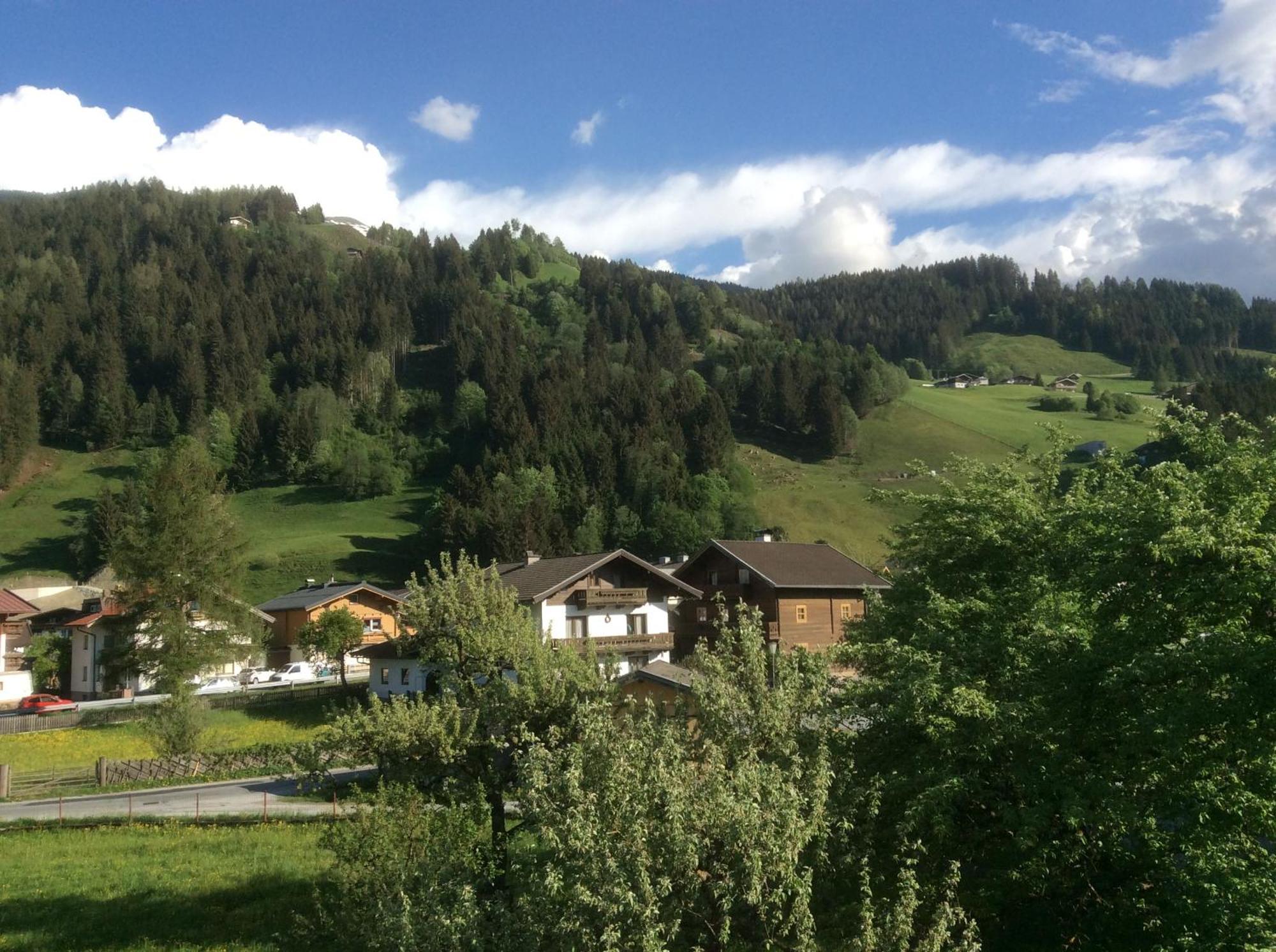 Kitzbuheler Alpen Penthouse Hollersbach Διαμέρισμα Hollersbach im Pinzgau Εξωτερικό φωτογραφία