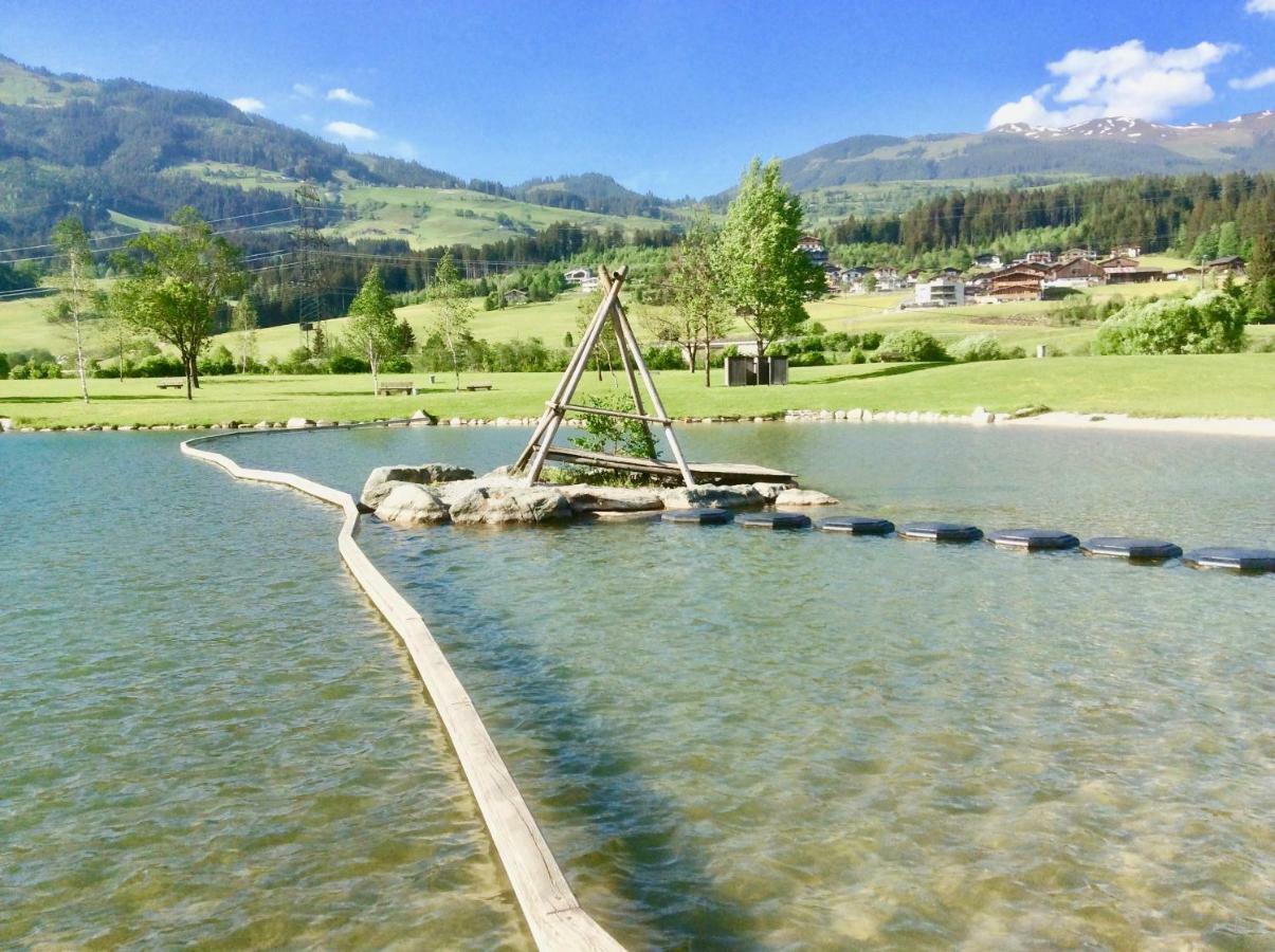 Kitzbuheler Alpen Penthouse Hollersbach Διαμέρισμα Hollersbach im Pinzgau Εξωτερικό φωτογραφία